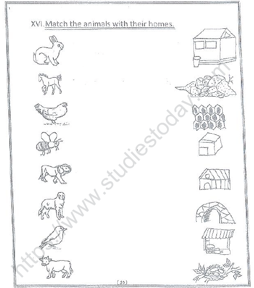 cbse-class-1-english-revision-worksheet-set-2